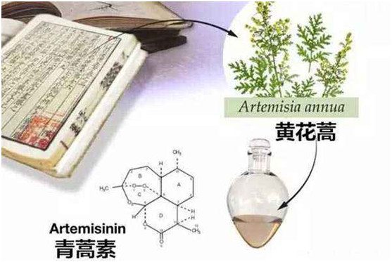 必赢在线,必赢（中国）：向中医药看齐，与世界共享中医药文化(图1)